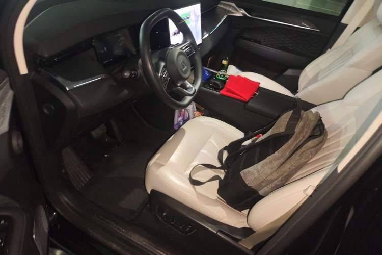 Used Zeekr 009 2024 GAC Trumpchi Driver Seat