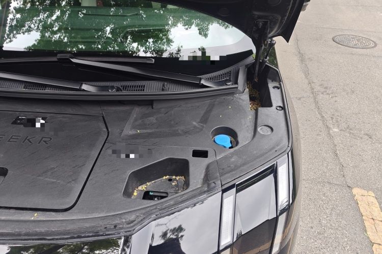 Used Zeekr 009 2024 GAC Trumpchi Engine Bay Left