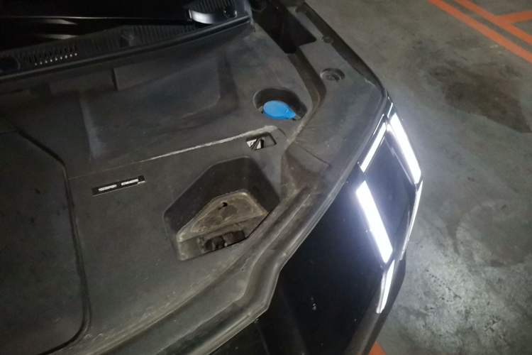 Used Zeekr 009 2024 GAC Trumpchi Engine Bay Left