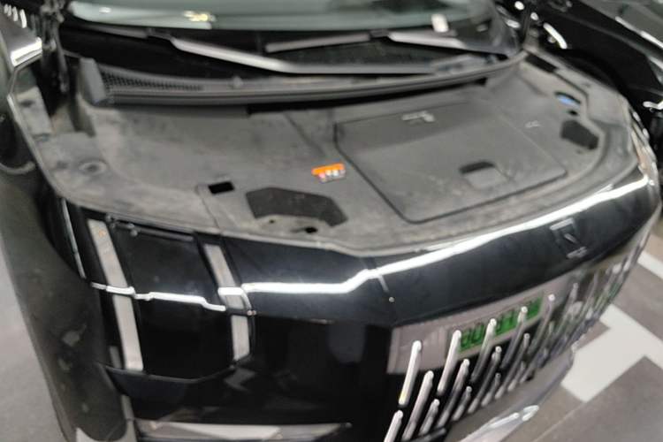Used Zeekr 009 2024 7-Seater Walk-Through Version Four-Wheel Drive 108 kWh Engine Bay