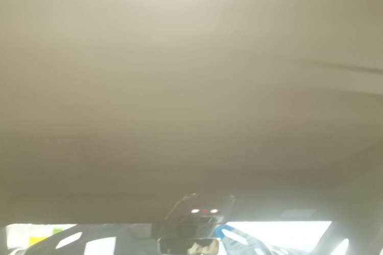 Used Zeekr 009 2024 Six-Seat Executive Version 4WD 108 kWh Headliner