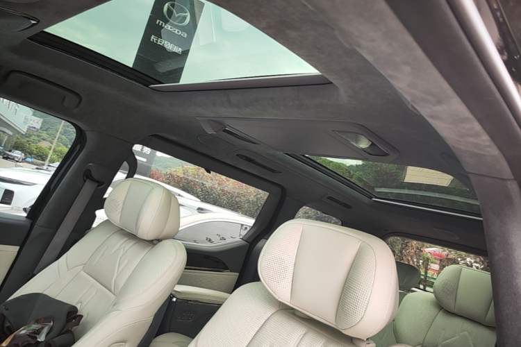 Used Zeekr 009 2024 Six-Seat Executive Version 4WD 108 kWh Headliner