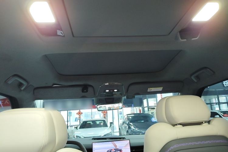 Used Zeekr 009 2024 Six-Seat Executive Version 4WD 108 kWh Headliner