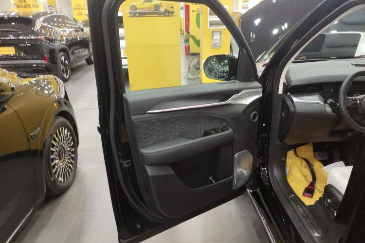 Used Zeekr 009 2024 GAC Trumpchi Left Front Door Interior