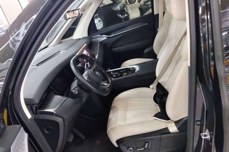 Used Zeekr 009 2024 GAC Trumpchi Left Front Seat