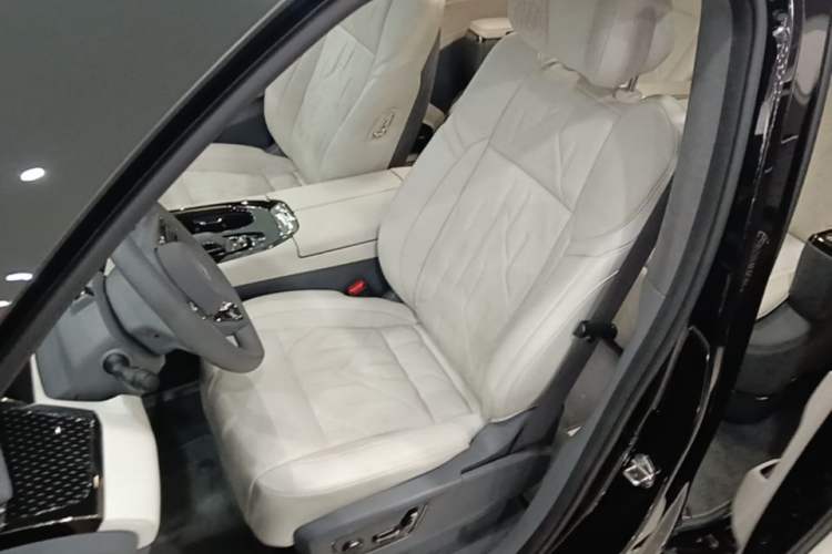 Used Zeekr 009 2024 Six-Seat Executive Version 4WD 108 kWh Left Front Seat