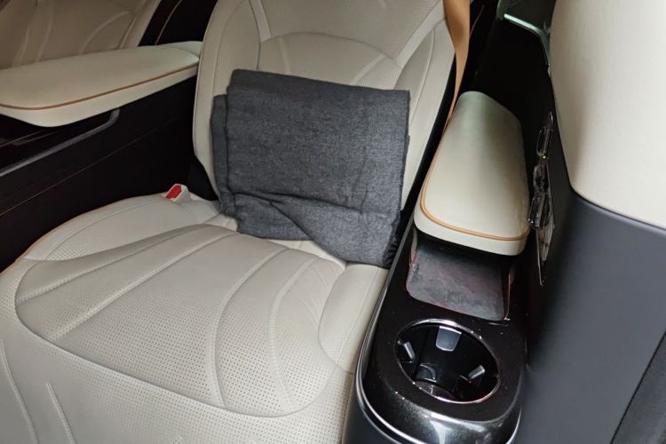Used Zeekr 009 2024 GAC Trumpchi Left Rear Seat