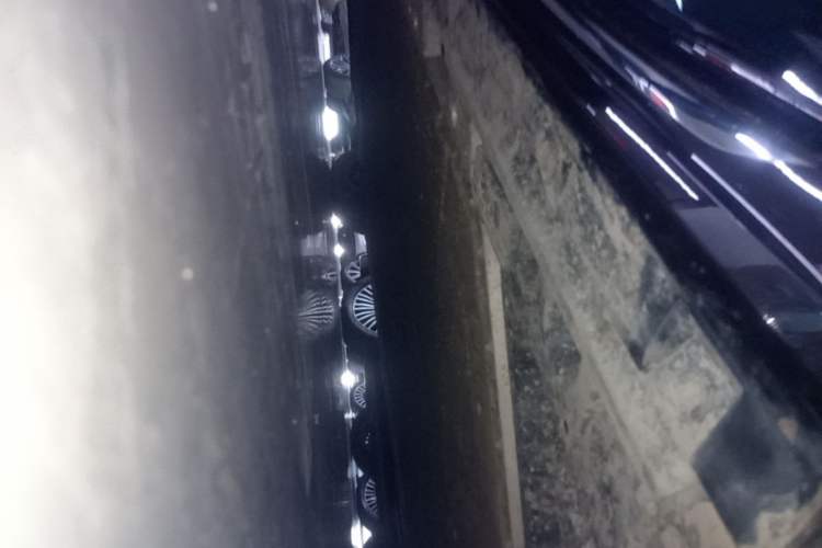 Used Zeekr 009 2024 Six-Seat Executive Version 4WD 108 kWh Left Side Sill