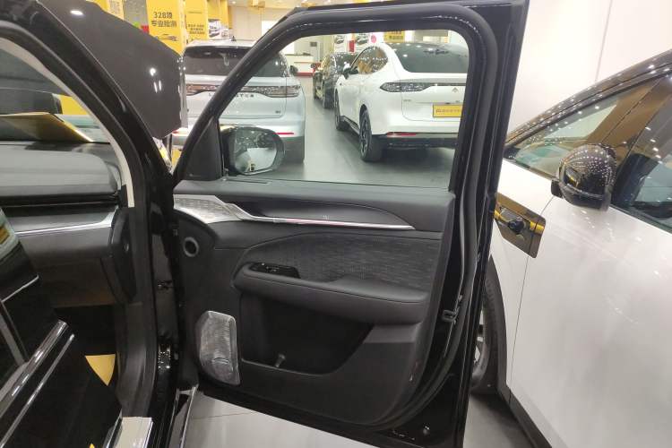 Used Zeekr 009 2024 GAC Trumpchi Right Front Door Interior