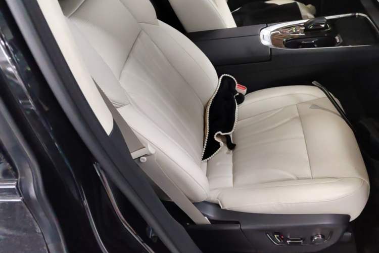 Used Zeekr 009 2024 GAC Trumpchi Right Front Seat