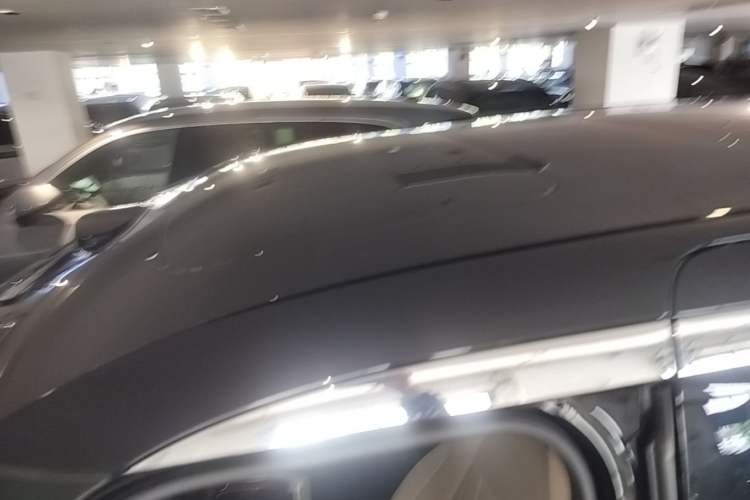 Used Zeekr 009 2024 GAC Trumpchi Roof
