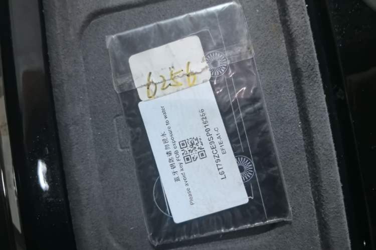 Used Zeekr 009 2024 Six-Seat Executive Version 4WD 108 kWh Vehicle Key
