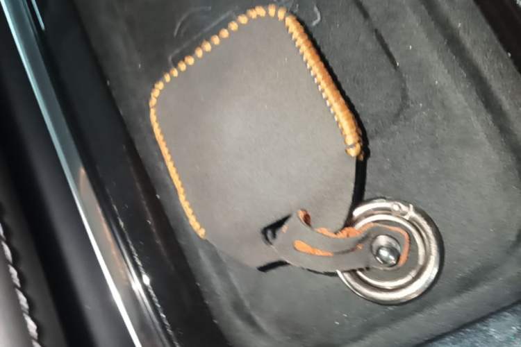 Used Zeekr 009 2024 GAC Trumpchi Vehicle Key