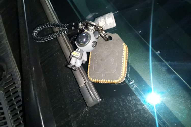 Used Zeekr 009 2024 GAC Trumpchi Vehicle Key