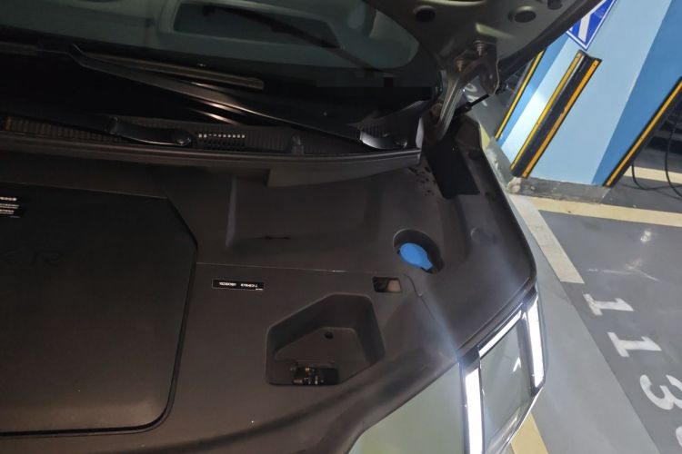 Used Zeekr 009 2024 7-Seater Walk-Through Version Four-Wheel Drive 108 kWh Engine Bay Left
