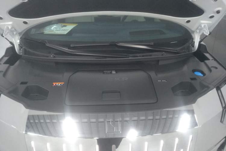 Used Zeekr 009 2024 Six-Seat Executive Version 4WD 108 kWh Engine Bay