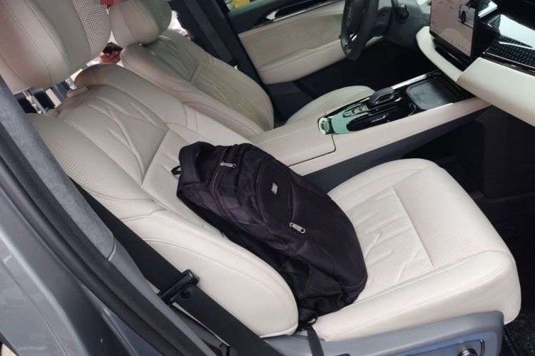 Used Zeekr 009 2024 7-Seater Walk-through Version 4WD 140 kWh Right Front Seat