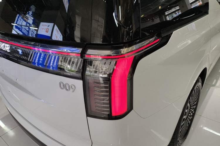 Used Zeekr 009 2024 Six-Seat Executive Version 4WD 108 kWh Exterior 3