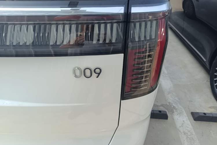 Used Zeekr 009 2024 Six-Seat Executive Version 4WD 108 kWh Exterior 3
