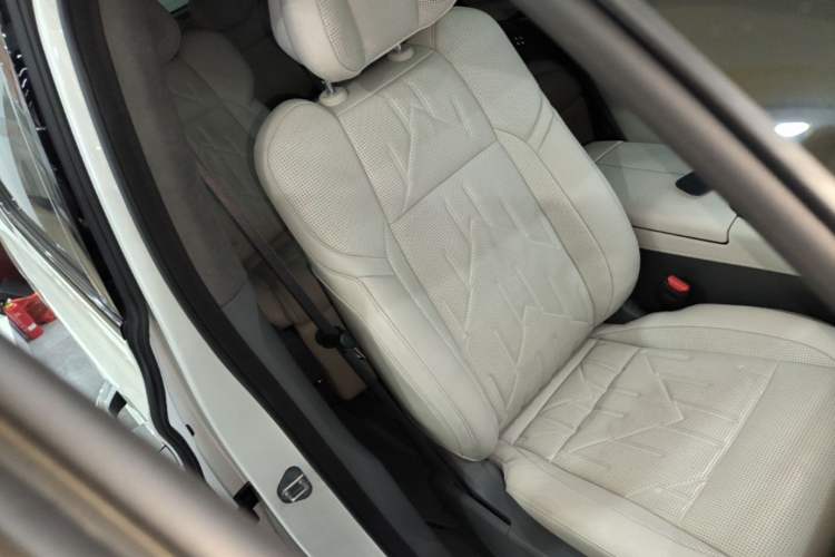 Used Zeekr 009 2024 Six-Seat Executive Version 4WD 108 kWh Right Front Seat