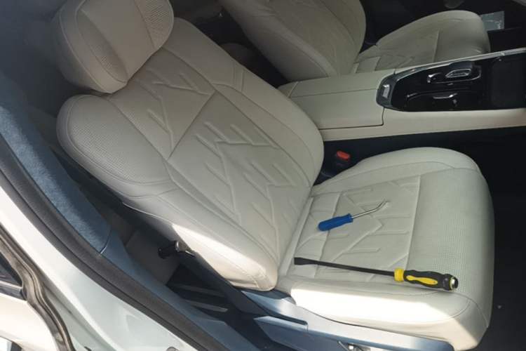 Used Zeekr 009 2024 Six-Seat Executive Version 4WD 108 kWh Right Front Seat