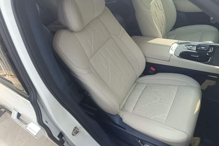 Used Zeekr 009 2024 Six-Seat Executive Version 4WD 108 kWh Right Front Seat