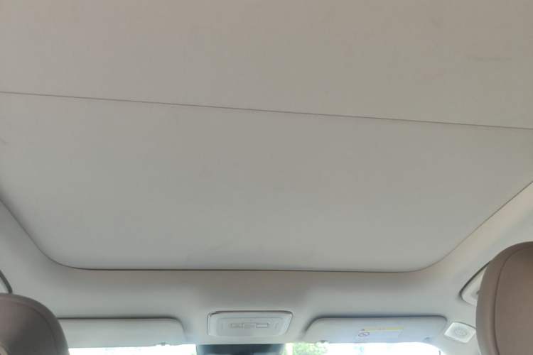 Used Zeekr 7X 2025 100 kWh Long-Range Rear-Wheel Drive with Intelligent Driving Features Headliner