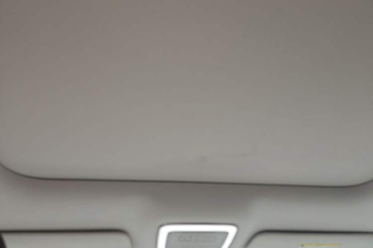 Used Zeekr 7X 2025 100 kWh Long-Range Rear-Wheel Drive with Intelligent Driving Features Headliner