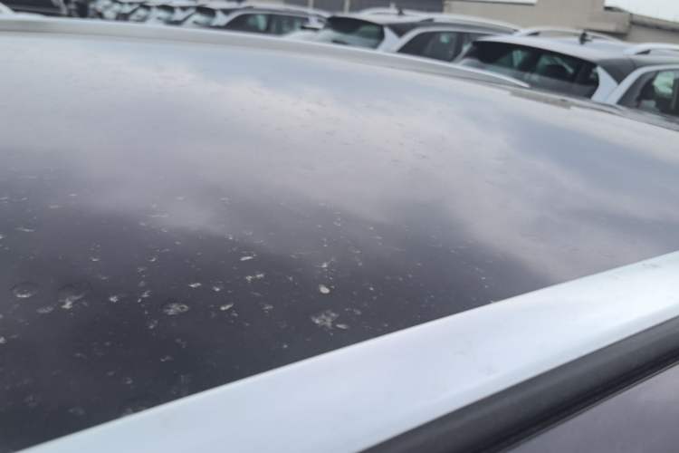 Used Zeekr 7X 2026 75kWh Rear-Drive MAX Edition Roof
