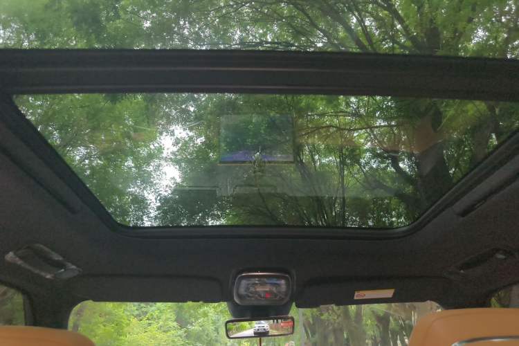 Used Zeekr 9X 2025 Ultra Edition 70kWh Headliner