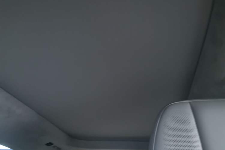 Used Zeekr MIX 2025 Intelligent Driving Version Headliner