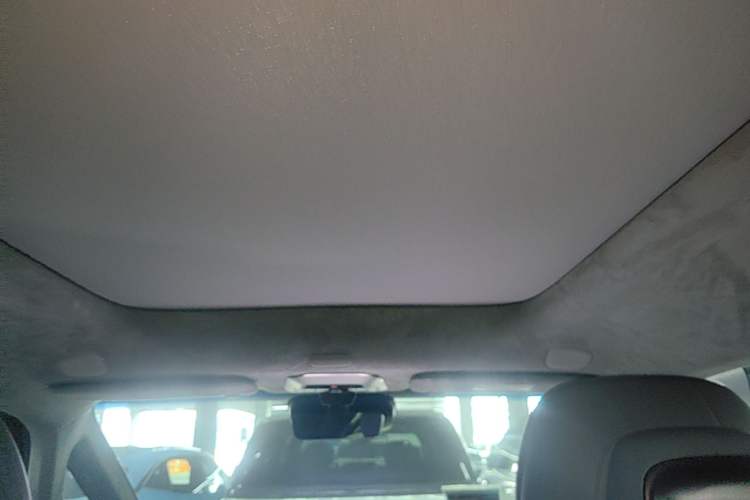 Used Zeekr MIX 2025 Intelligent Driving Version Headliner