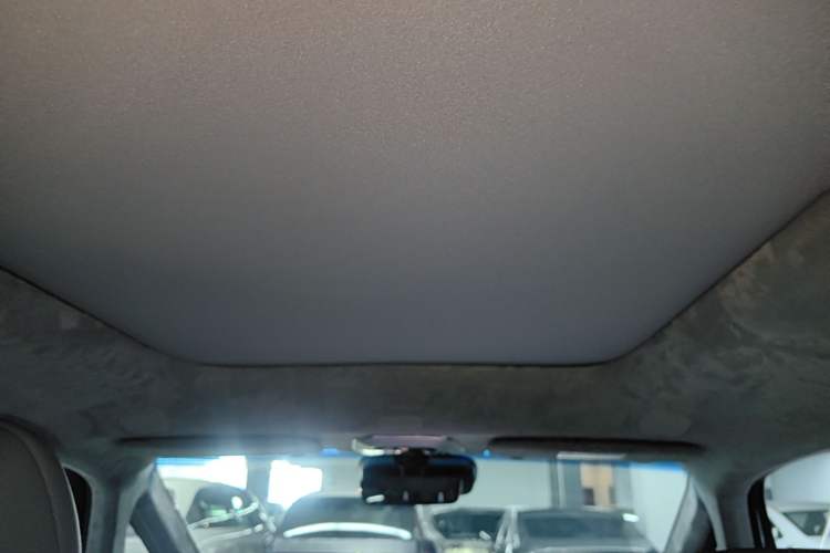 Used Zeekr MIX 2025 Intelligent Driving Version Headliner