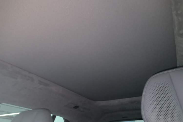 Used Zeekr MIX 2025 Intelligent Driving Version Headliner