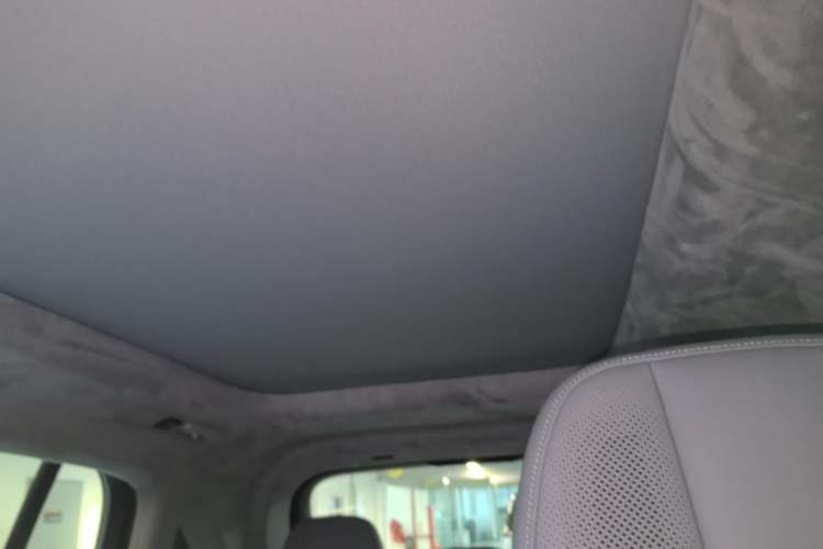 Used Zeekr MIX 2025 Intelligent Driving Version Headliner