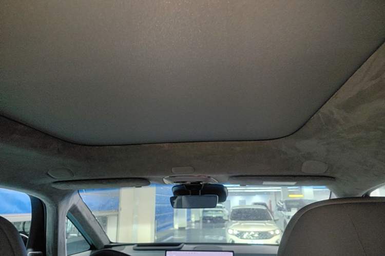 Used Zeekr MIX 2025 Intelligent Driving Version Headliner