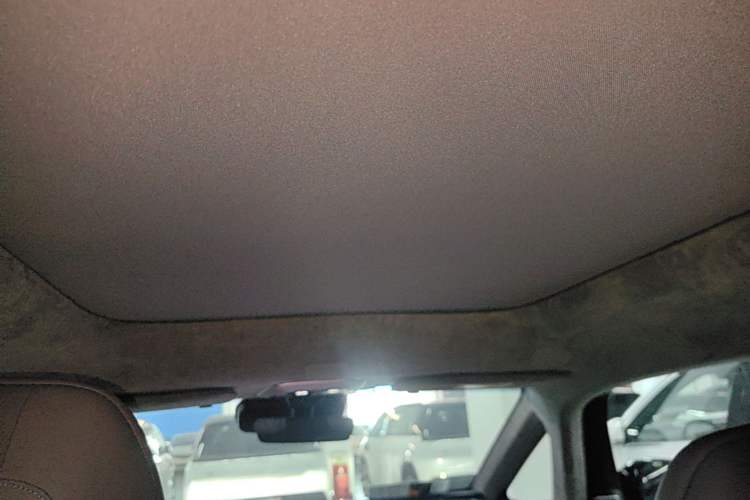 Used Zeekr MIX 2025 Intelligent Driving Version Headliner