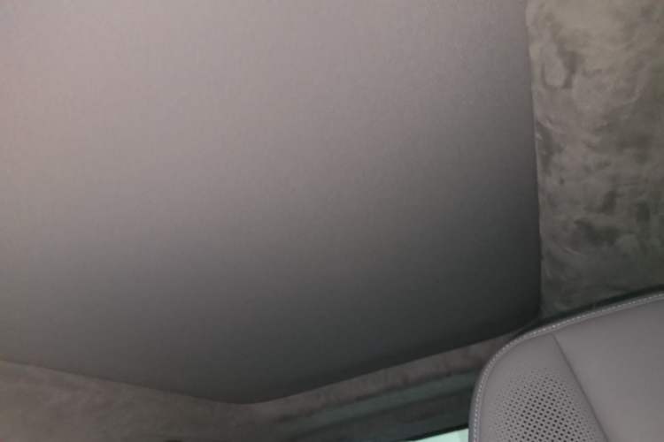 Used Zeekr MIX 2025 Intelligent Driving Version Headliner
