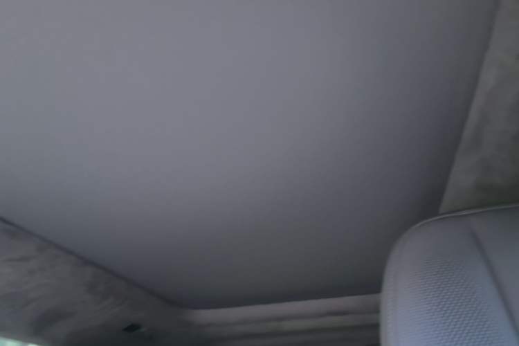 Used Zeekr MIX 2025 Intelligent Driving Version Headliner