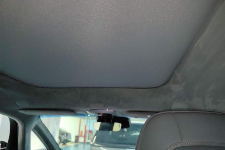 Used Zeekr MIX 2025 Intelligent Driving Version Headliner