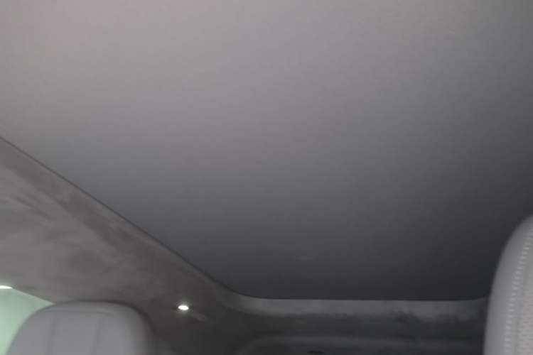 Used Zeekr MIX 2025 Intelligent Driving Version Headliner