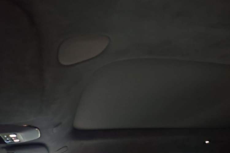 Used Zeekr MIX 2025 Intelligent Driving Version Headliner