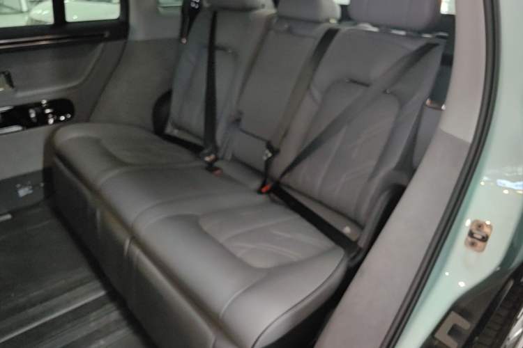 Used Zeekr MIX 2025 Intelligent Driving Version Left Rear Seat