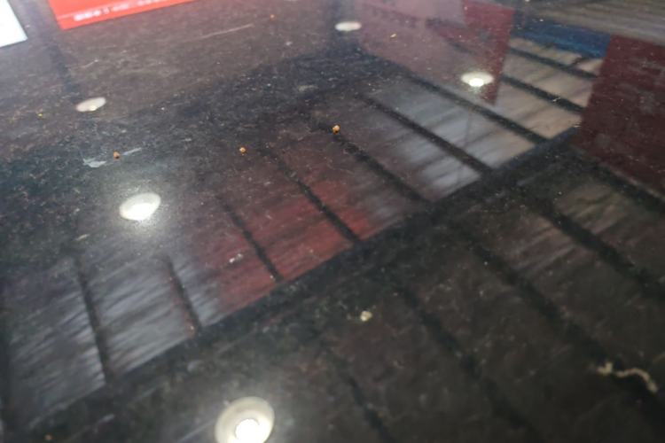 Used Zeekr MIX 2025 Intelligent Driving Version Roof