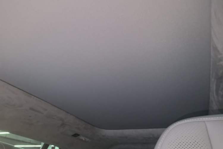 Used Zeekr MIX 2025 Intelligent Driving Version Headliner