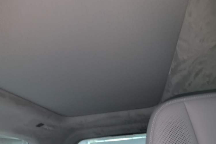 Used Zeekr MIX 2025 Intelligent Driving Version Headliner