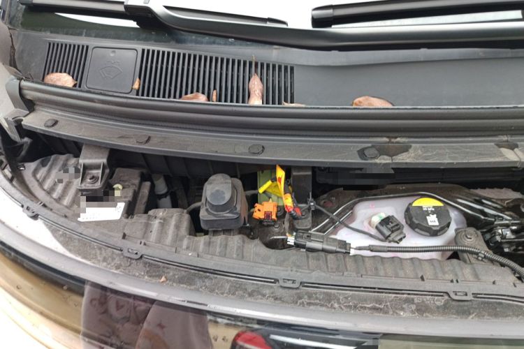 Used Zeekr MIX 2025 Long-Range Intelligent Driving Edition Engine Bay Right