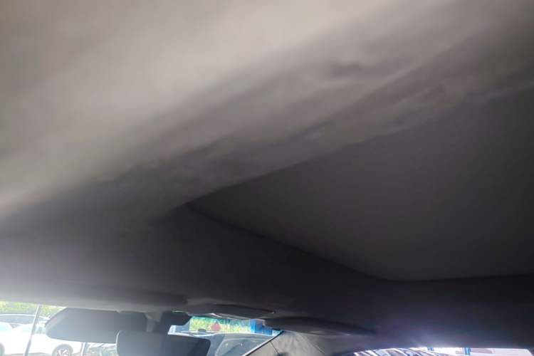 Used Zeekr MIX 2025 Intelligent Driving Version Headliner