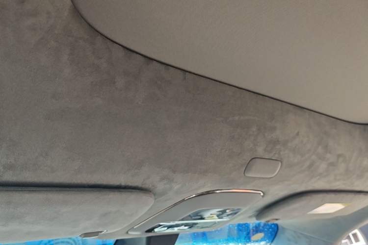 Used Zeekr MIX 2025 Intelligent Driving Version Headliner