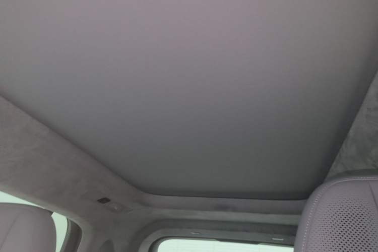 Used Zeekr MIX 2025 Intelligent Driving Version Headliner
